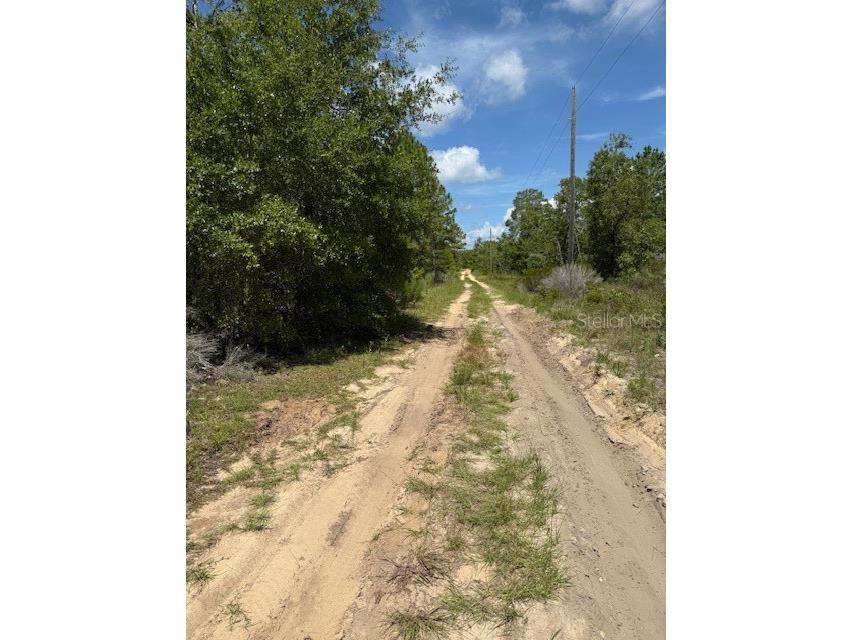 113 S Dakota Street Hawthorne FL 32640 OM706626 image3