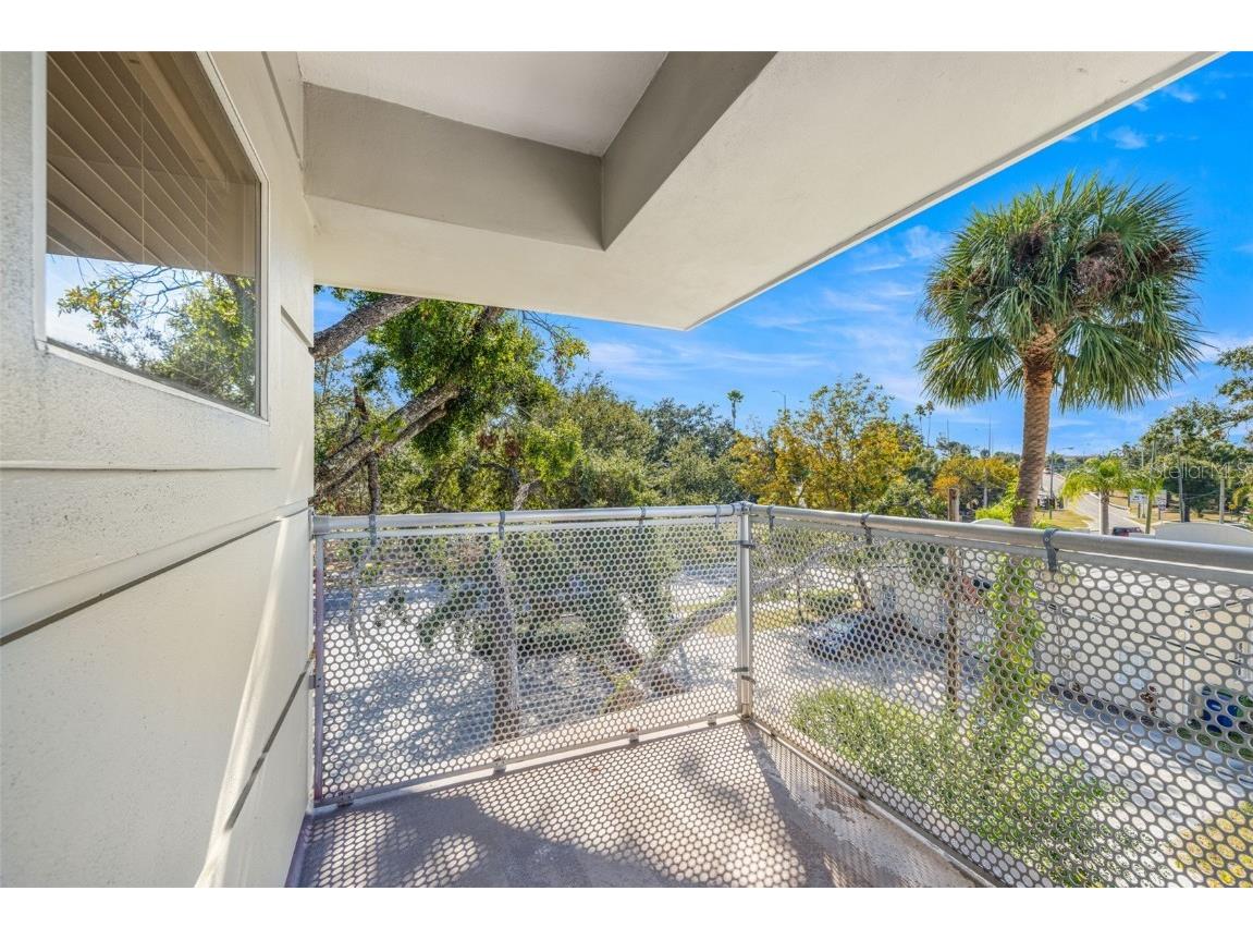 113 S Newport Avenue #1-4 Tampa FL 33606 TB8447675 image30