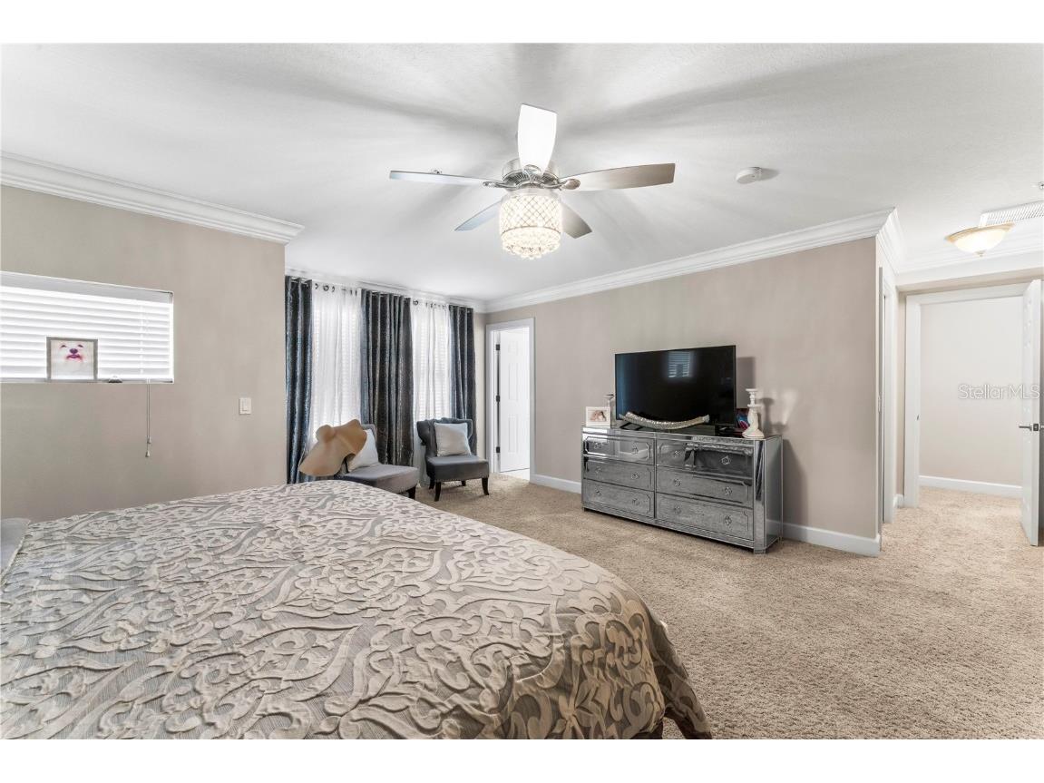 113 S Newport Avenue #4 Tampa FL 33606 TB8441785 image26