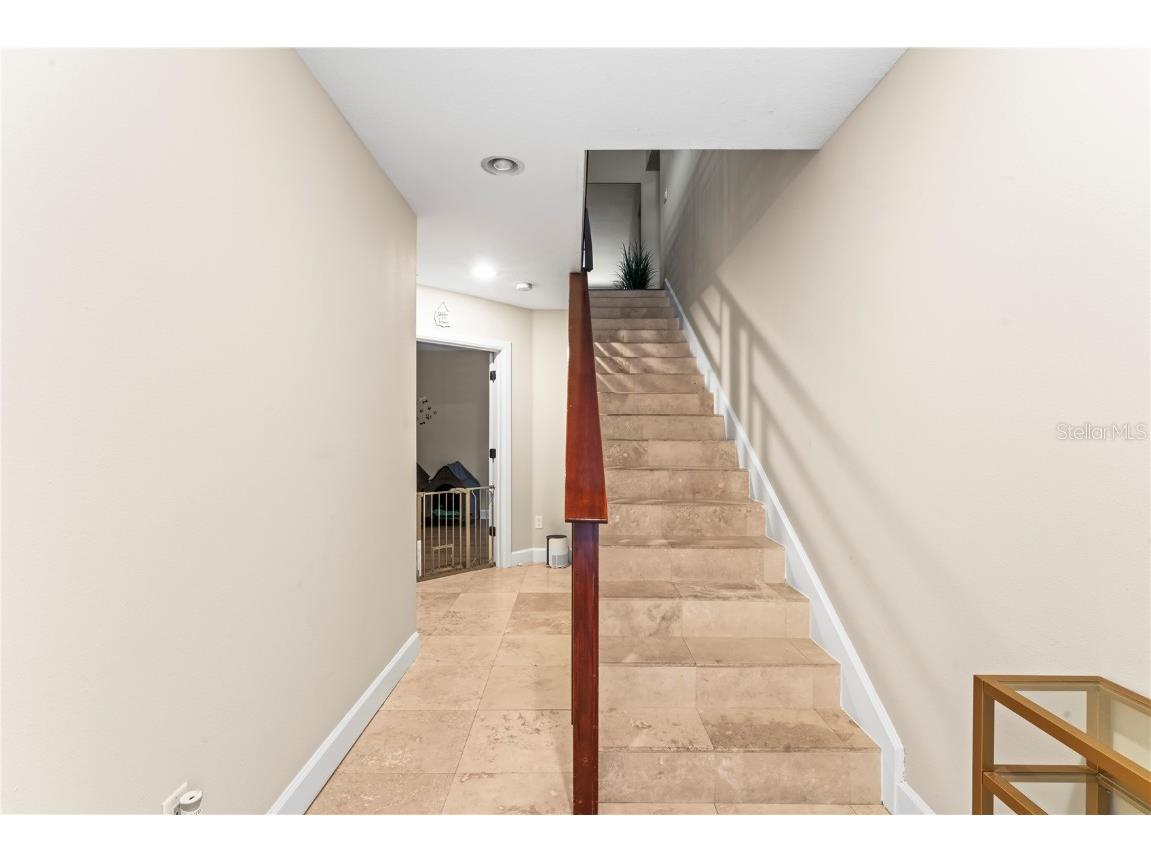 113 S Newport Avenue #4 Tampa FL 33606 TB8441785 image5