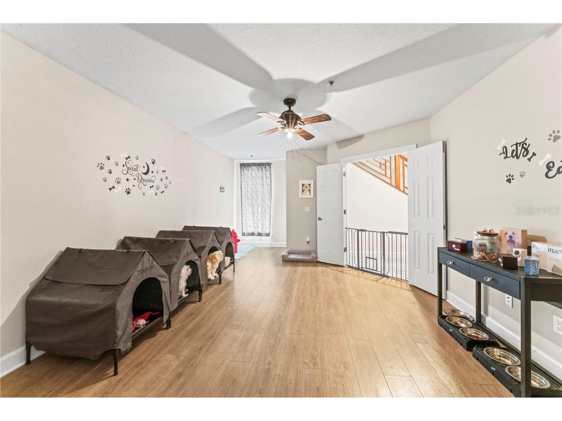 113 S Newport Avenue #4 Tampa FL 33606 TB8441785 image6