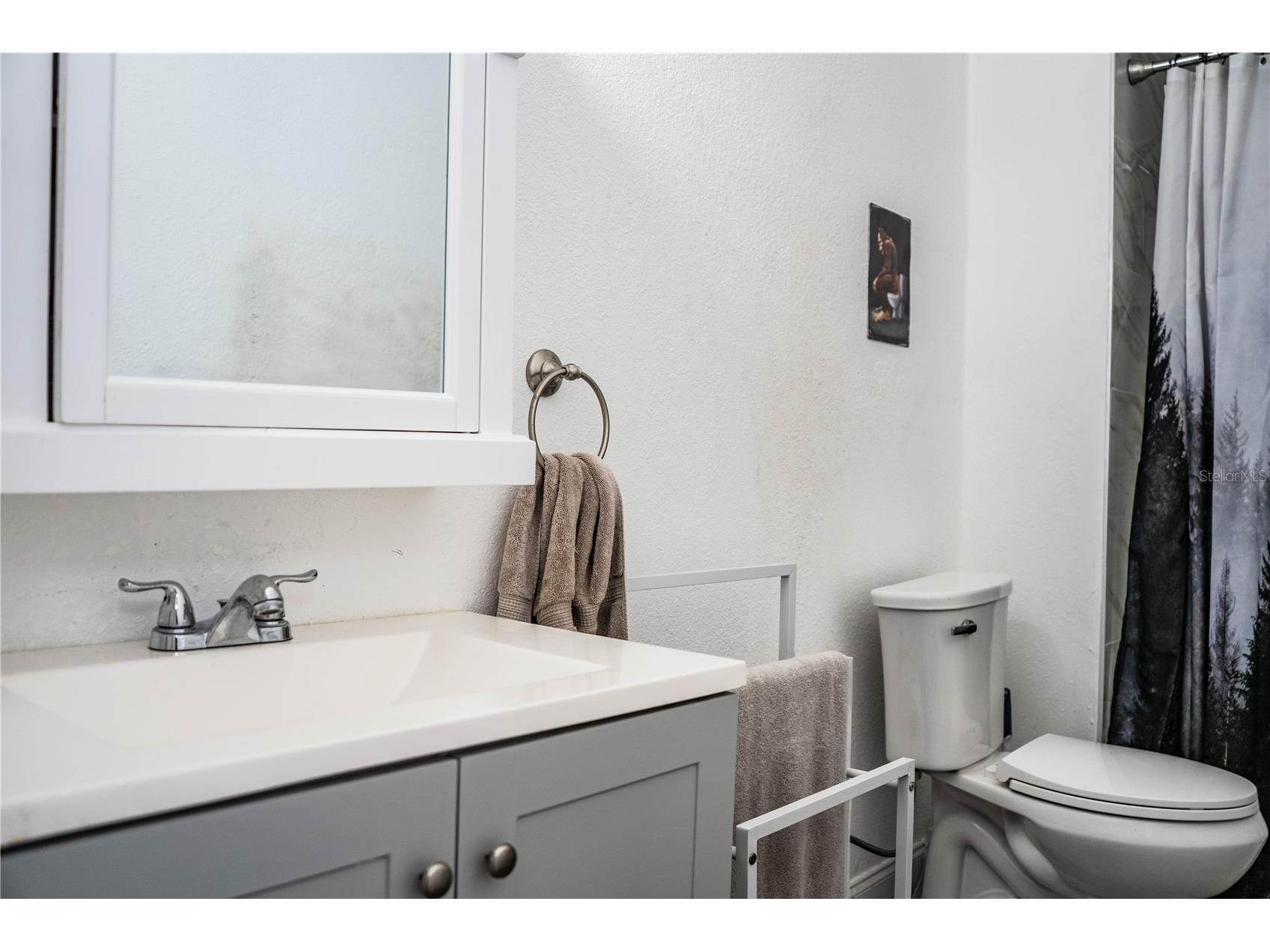 113 SE Pine Avenue Fort Meade FL 33841 L4961952 image33