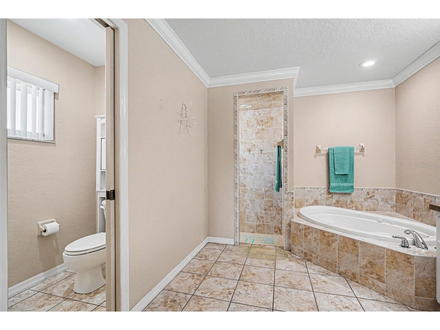 113 Shaddock Drive Auburndale FL 33823 TB8507219 image23