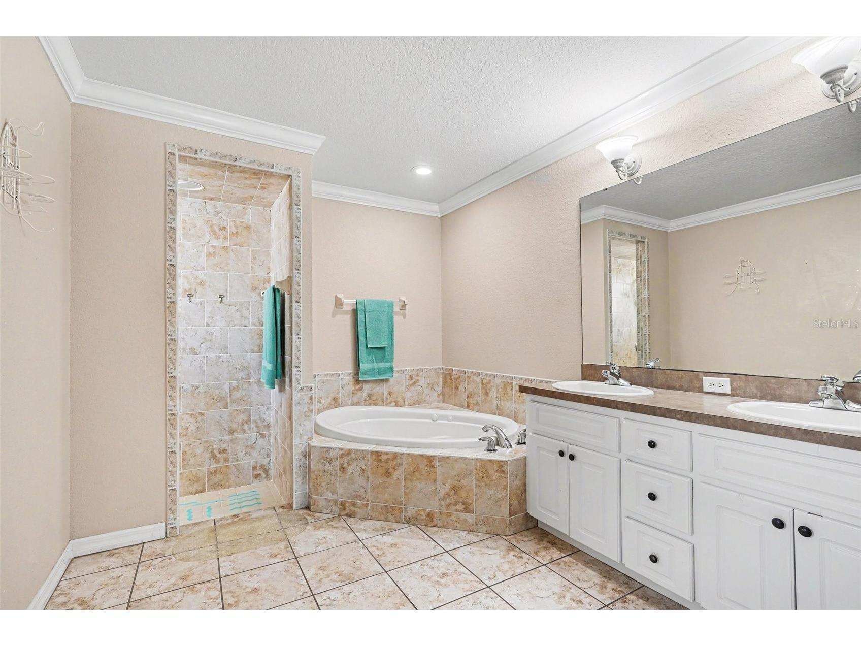 113 Shaddock Drive Auburndale FL 33823 TB8507219 image24