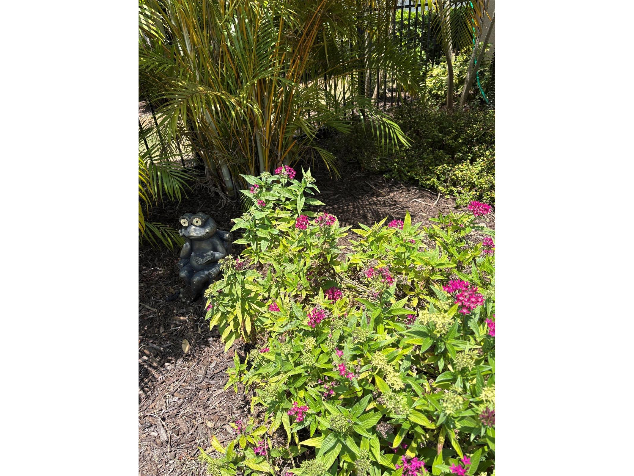 113 Vinadio Boulevard Nokomis FL 34275 N6144306 image22