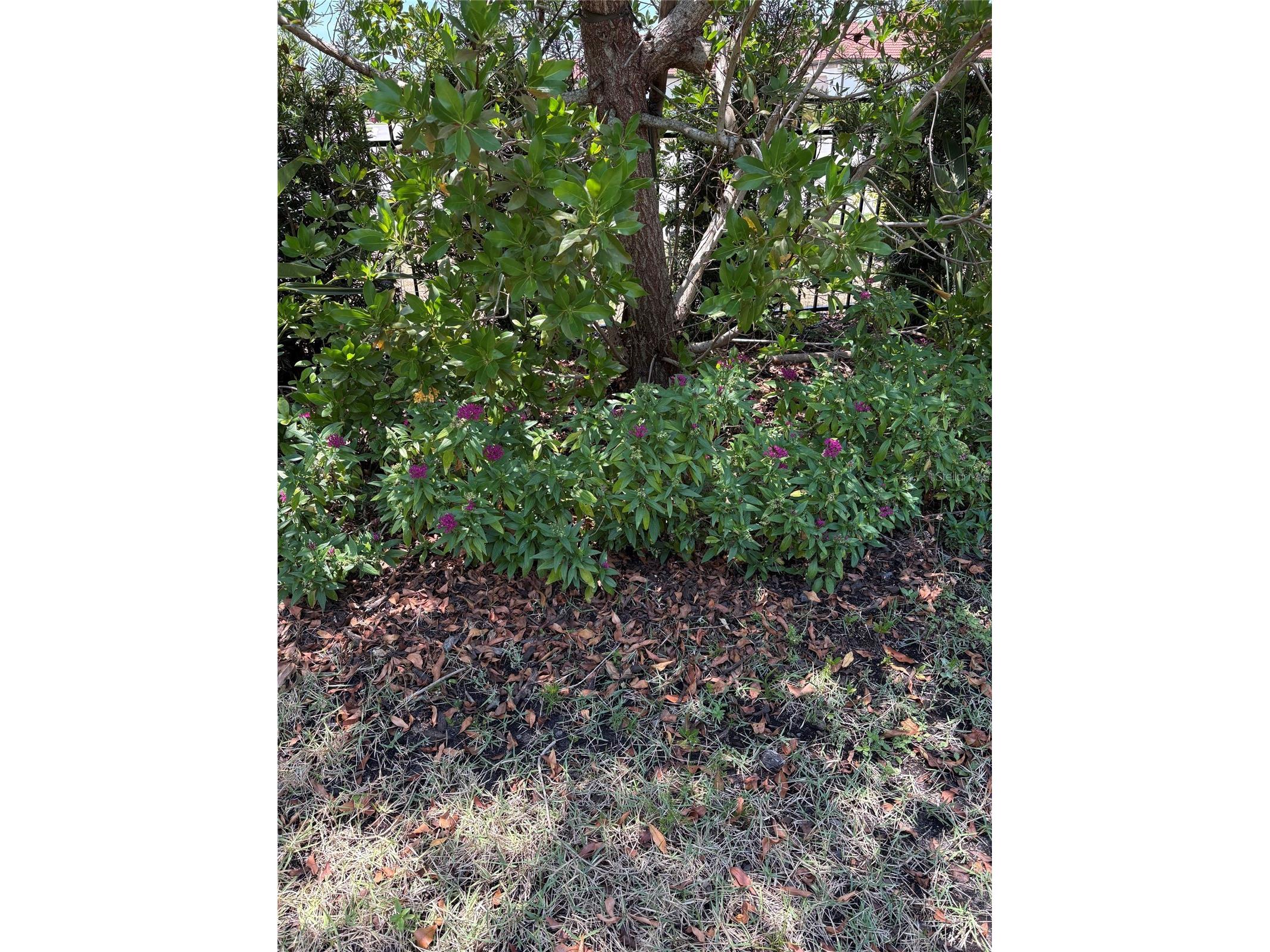 113 Vinadio Boulevard Nokomis FL 34275 N6144306 image23