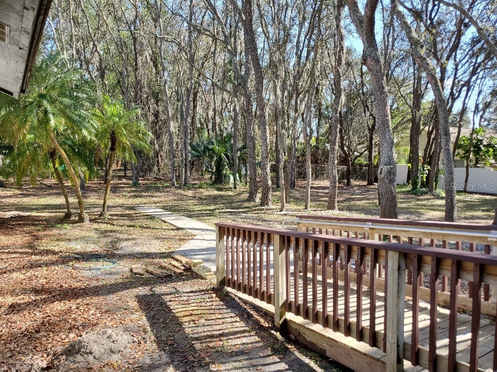 113 W Chapman Road Oviedo FL 32765 O6361155 image25