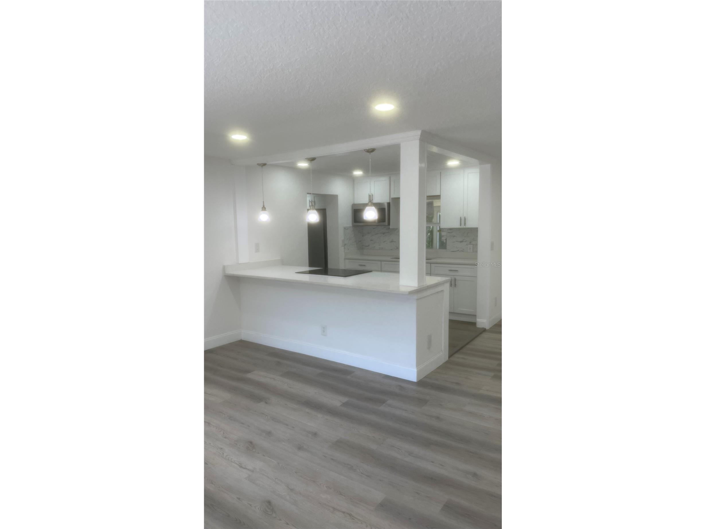 113 W Division Street Winter Garden FL 34787 S5148787 image19