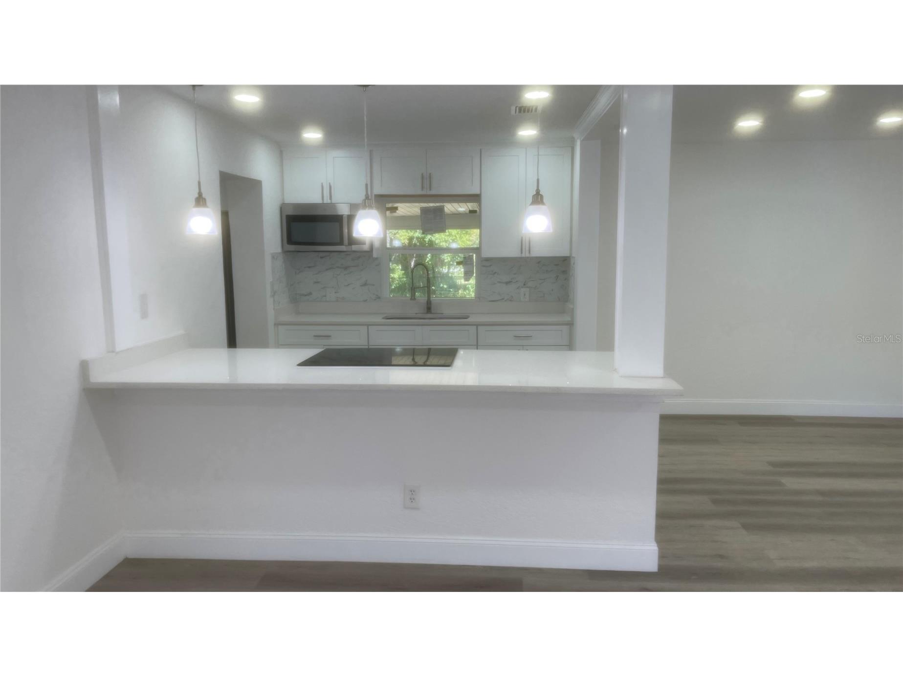 113 W Division Street Winter Garden FL 34787 S5148787 image6