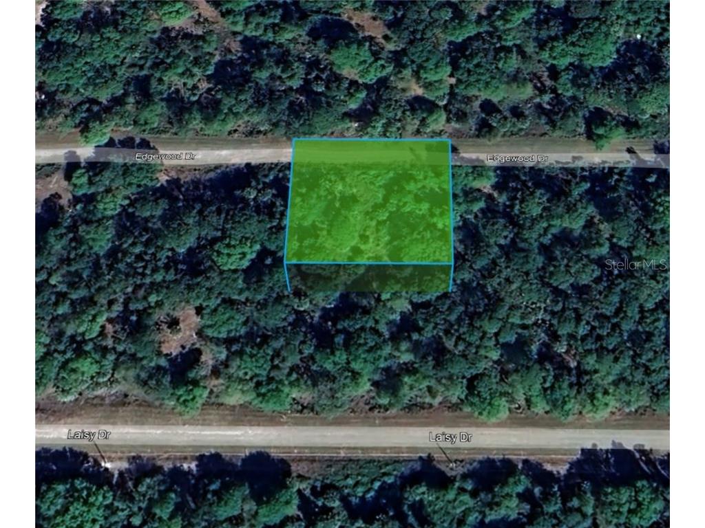 113 W Edgewood Drive Georgetown FL 32139 O6181430 image1