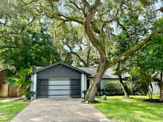 113 Winding Ridge Drive Sanford FL 32773 V4950158 image1