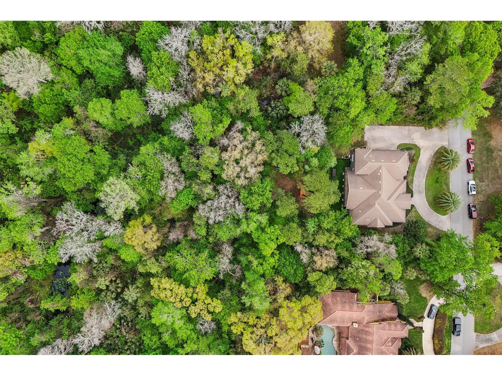 113 Wisteria Drive Longwood FL 32779 - LITTLE WEKIVA RIVER O6390667 image69