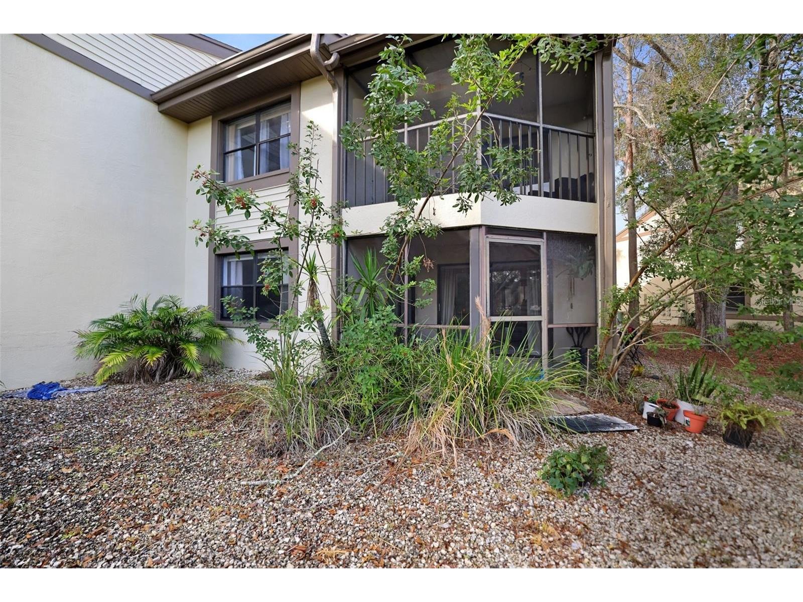 113 Woodlake Wynde #19 Oldsmar FL 34677 TB8463749 image29