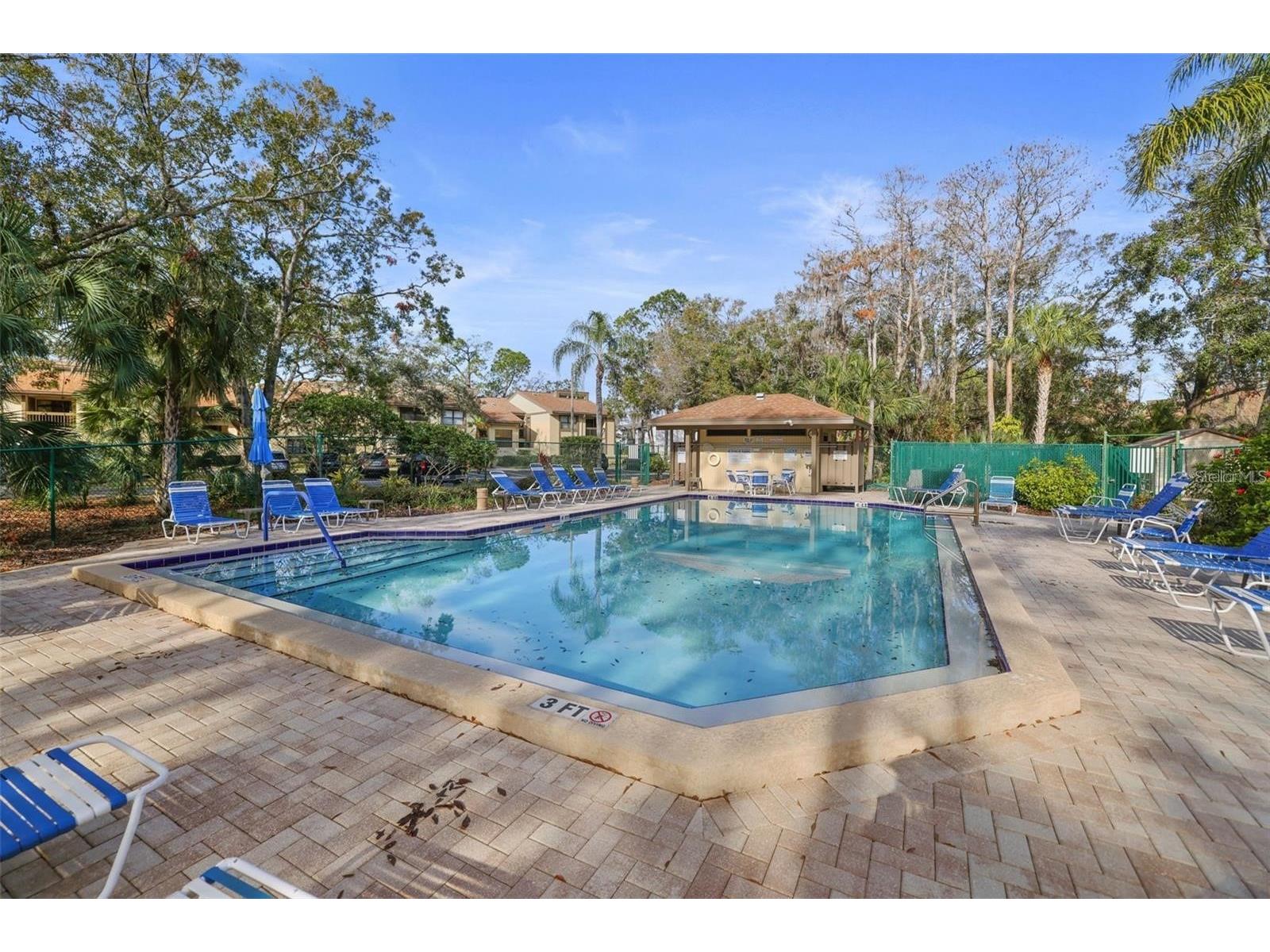 113 Woodlake Wynde #19 Oldsmar FL 34677 TB8463749 image30