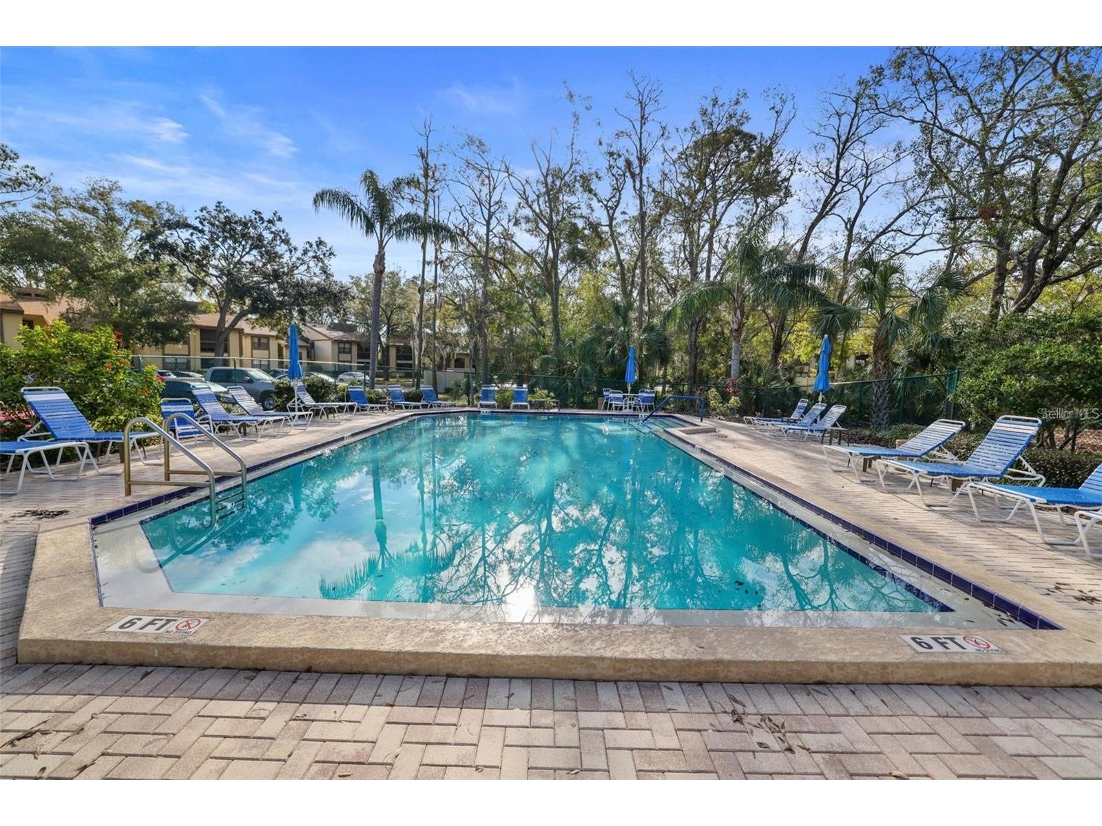 113 Woodlake Wynde #19 Oldsmar FL 34677 TB8463749 image31