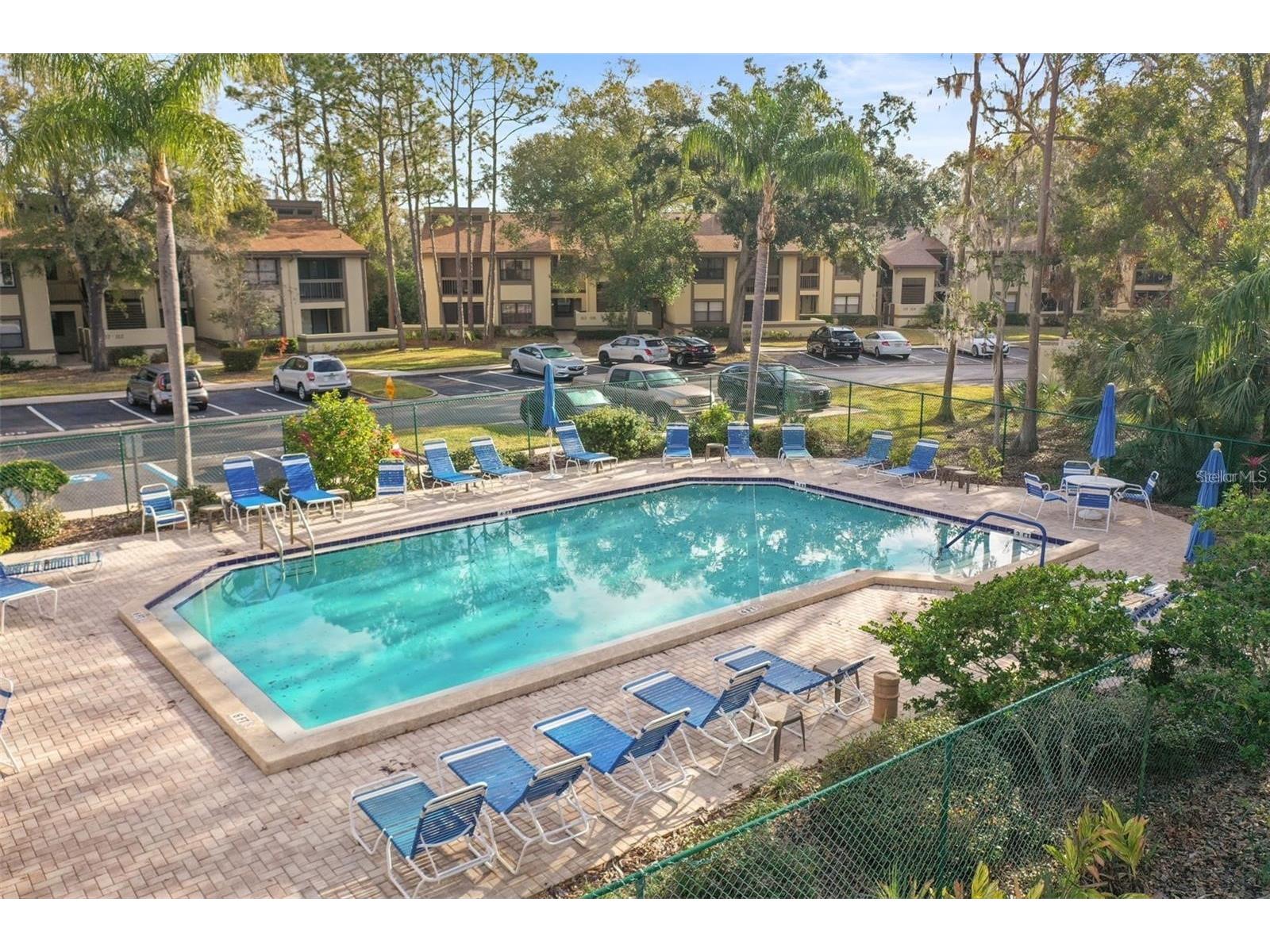 113 Woodlake Wynde #19 Oldsmar FL 34677 TB8463749 image32