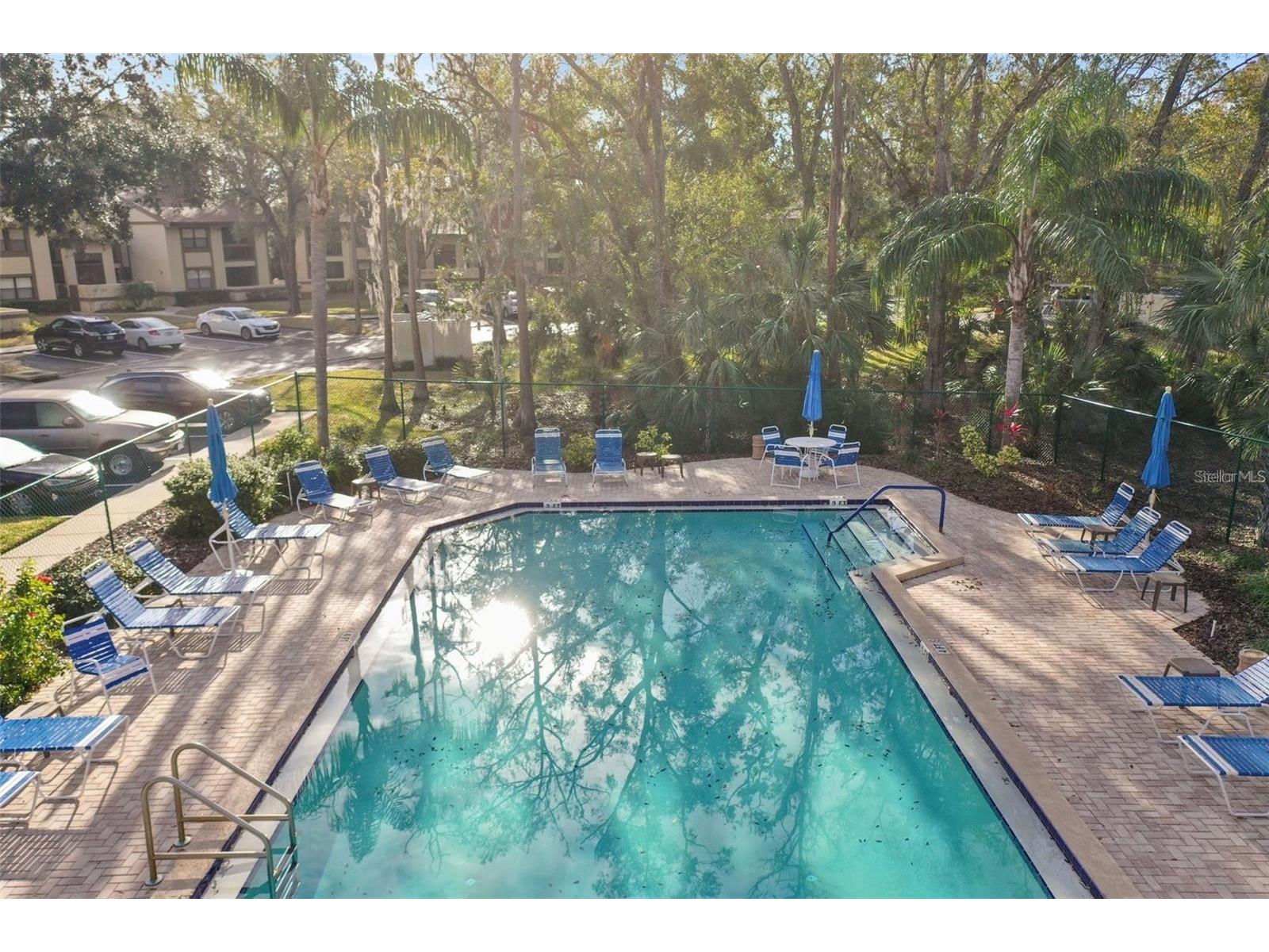 113 Woodlake Wynde #19 Oldsmar FL 34677 TB8463749 image33