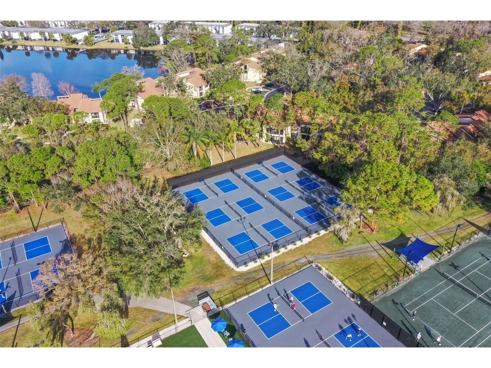113 Woodlake Wynde #19 Oldsmar FL 34677 TB8463749 image37