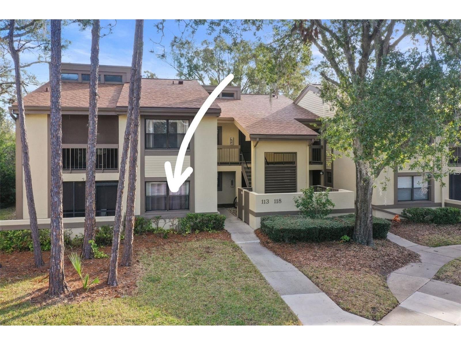 113 Woodlake Wynde #19 Oldsmar FL 34677 TB8463749 image42