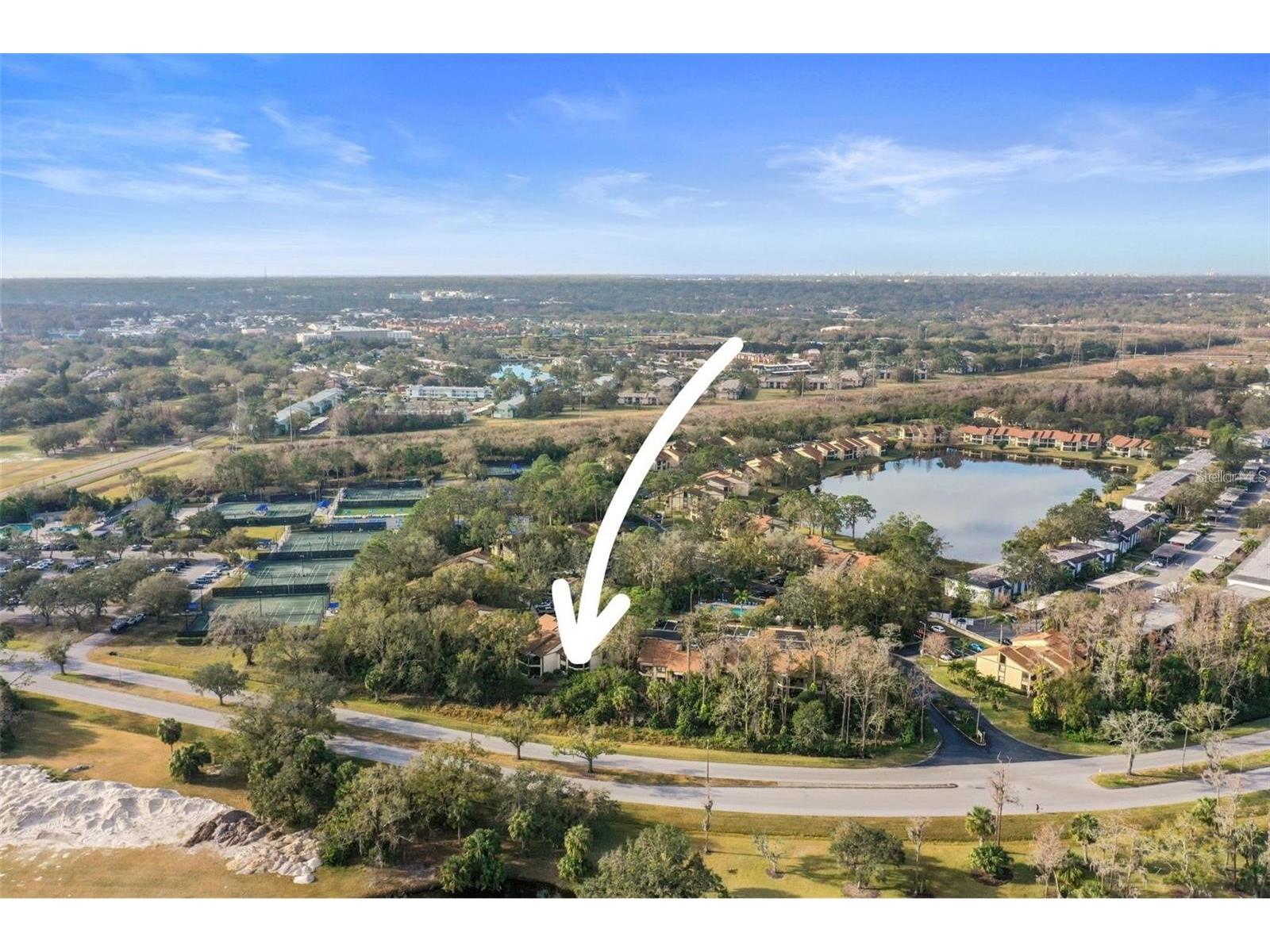 113 Woodlake Wynde #19 Oldsmar FL 34677 TB8463749 image44