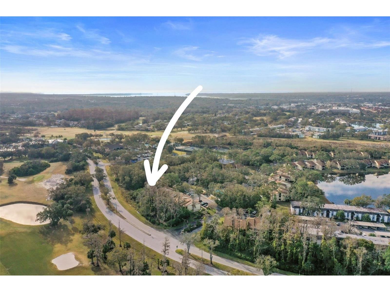 113 Woodlake Wynde #19 Oldsmar FL 34677 TB8463749 image45