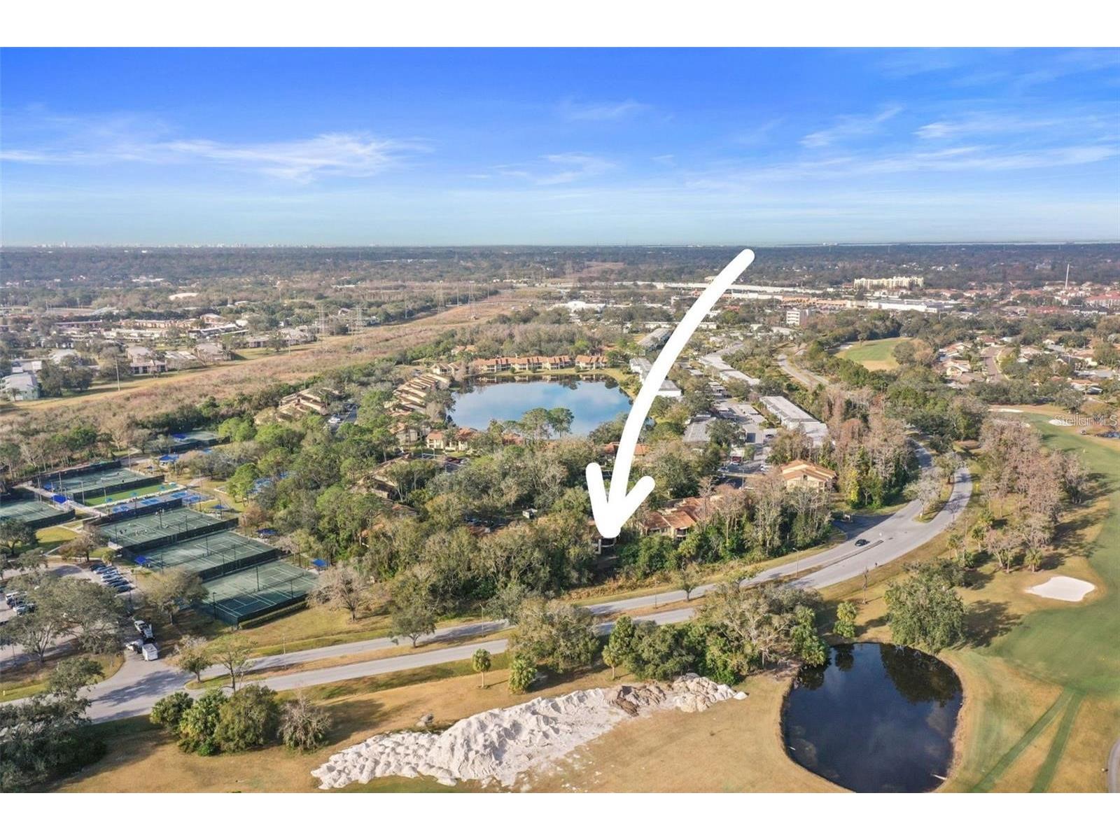 113 Woodlake Wynde #19 Oldsmar FL 34677 TB8463749 image47