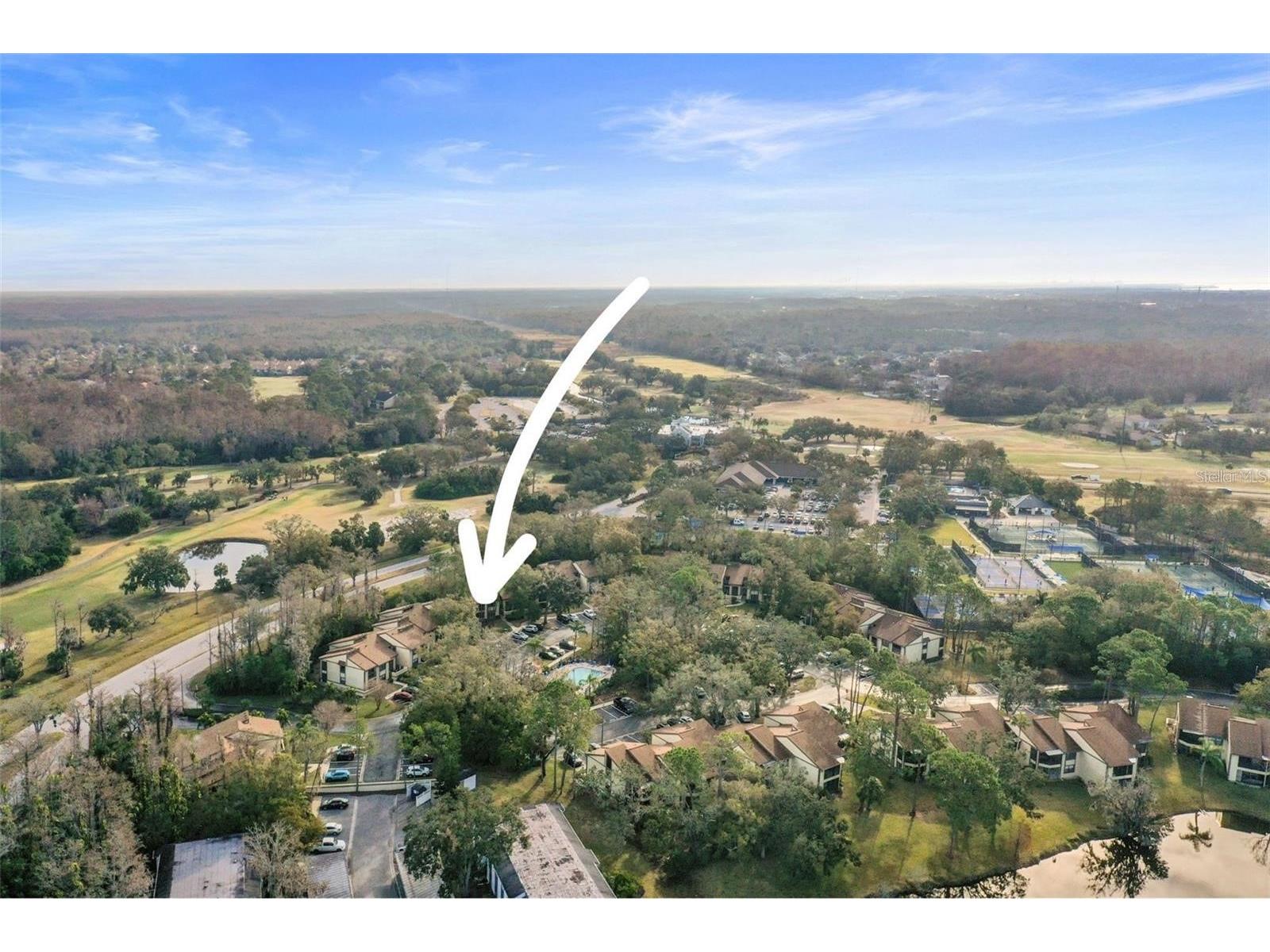 113 Woodlake Wynde #19 Oldsmar FL 34677 TB8463749 image48