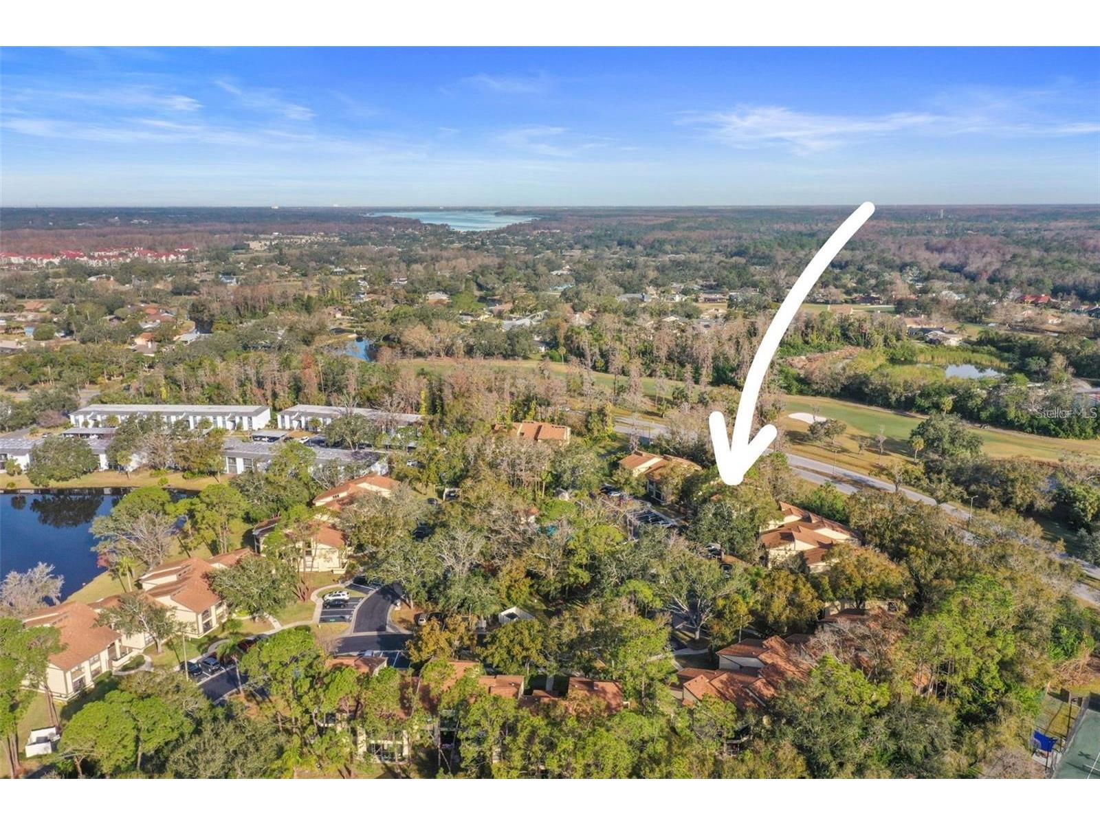113 Woodlake Wynde #19 Oldsmar FL 34677 TB8463749 image49