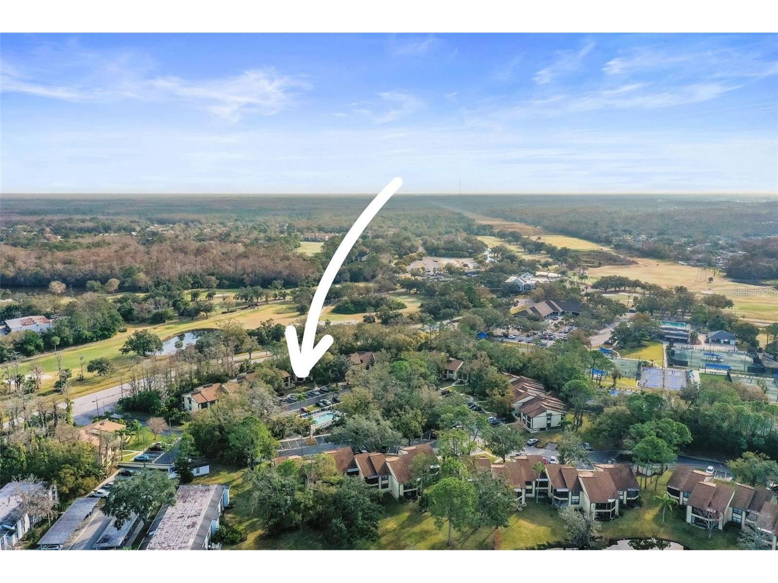 113 Woodlake Wynde #19 Oldsmar FL 34677 TB8463749 image50
