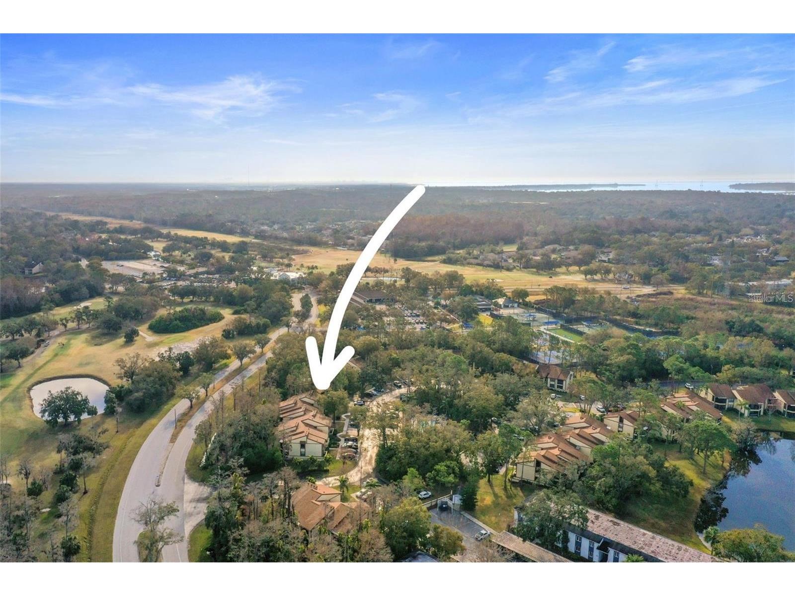 113 Woodlake Wynde #19 Oldsmar FL 34677 TB8463749 image51