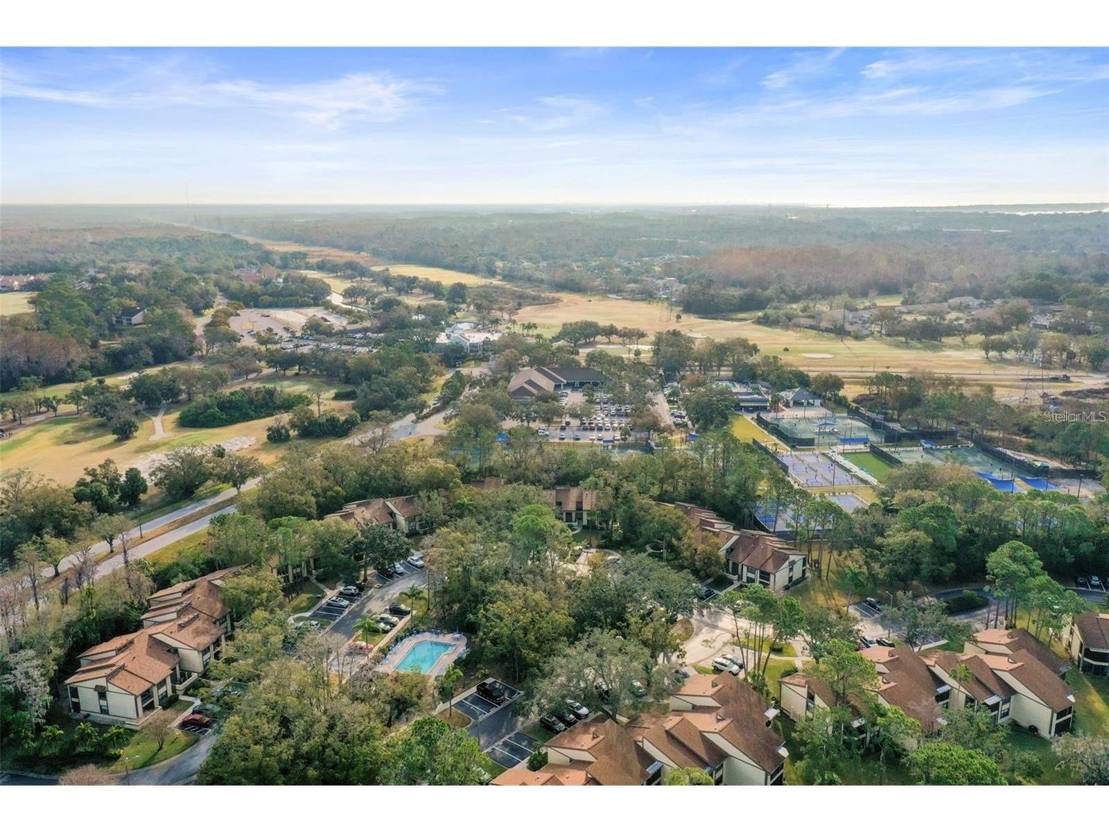 113 Woodlake Wynde #19 Oldsmar FL 34677 TB8463749 image55