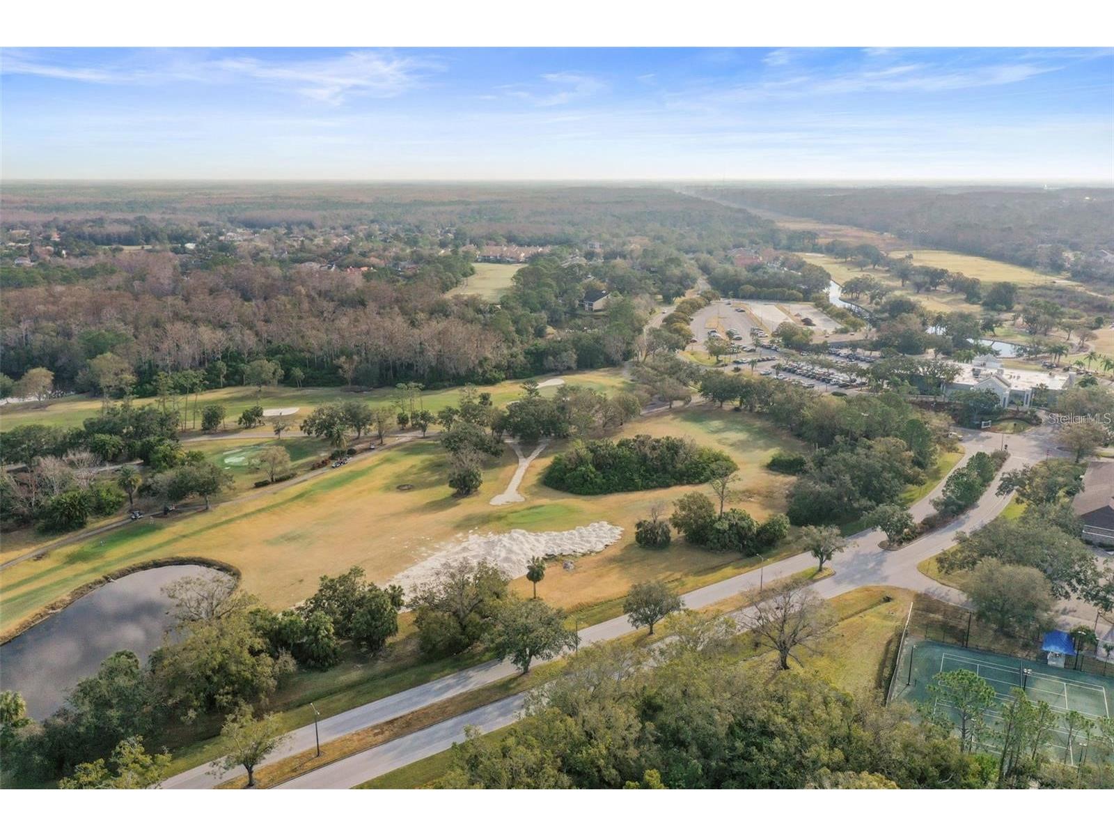 113 Woodlake Wynde #19 Oldsmar FL 34677 TB8463749 image56