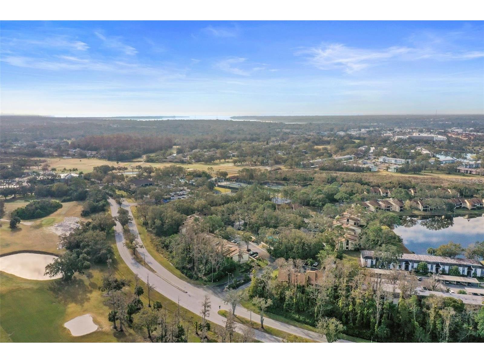 113 Woodlake Wynde #19 Oldsmar FL 34677 TB8463749 image58