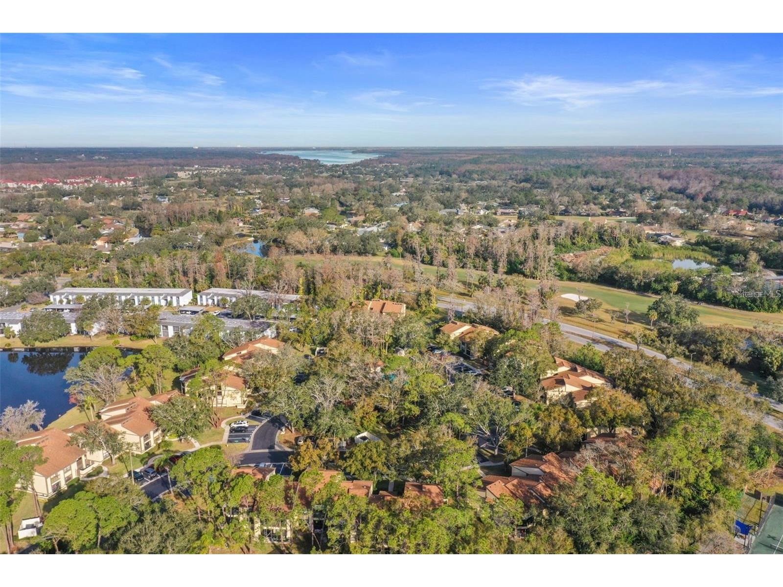 113 Woodlake Wynde #19 Oldsmar FL 34677 TB8463749 image60