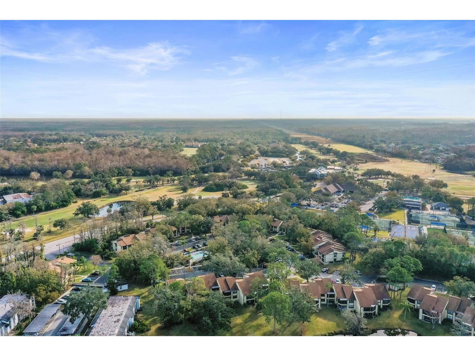 113 Woodlake Wynde #19 Oldsmar FL 34677 TB8463749 image61