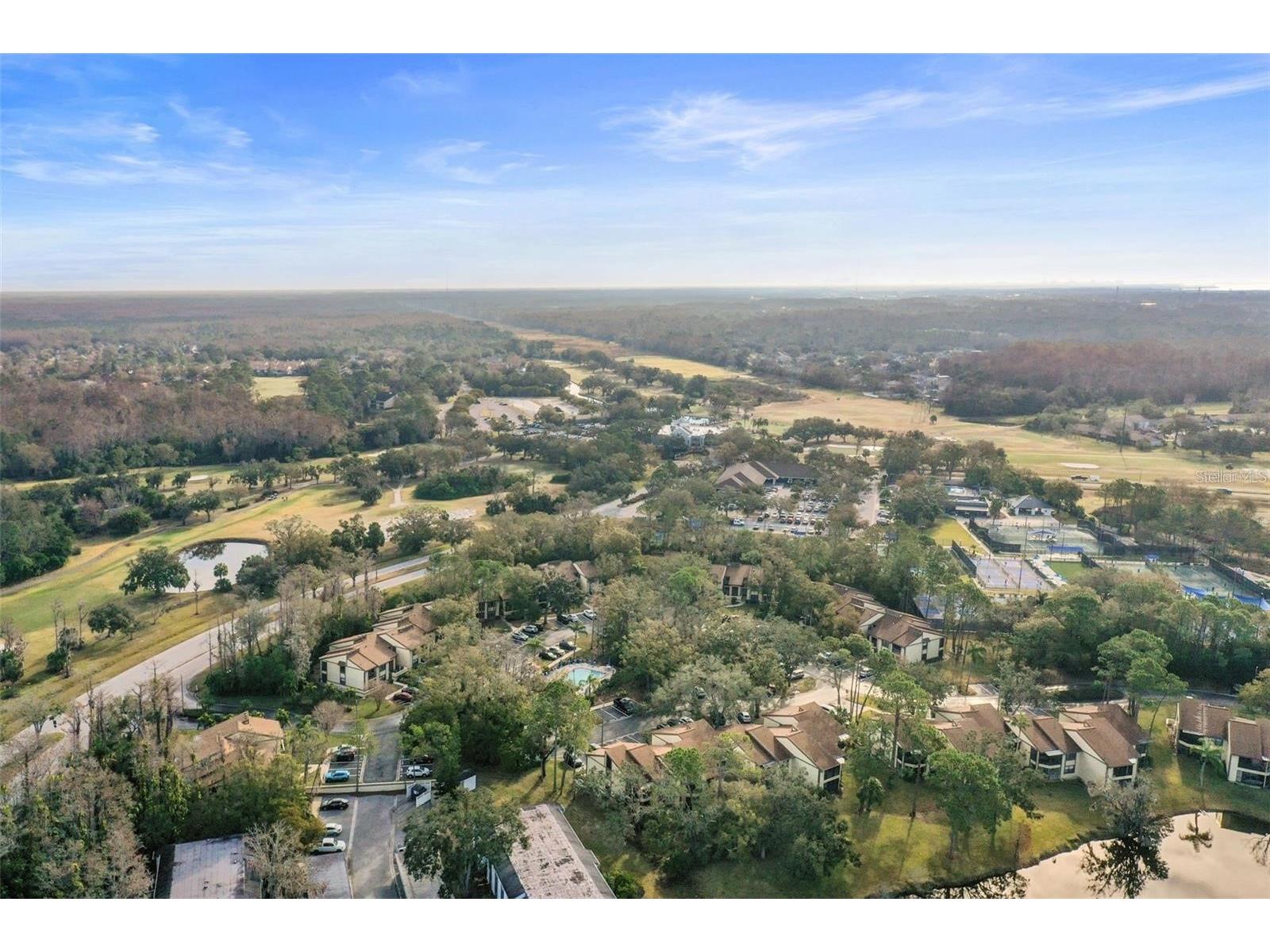 113 Woodlake Wynde #19 Oldsmar FL 34677 TB8463749 image62