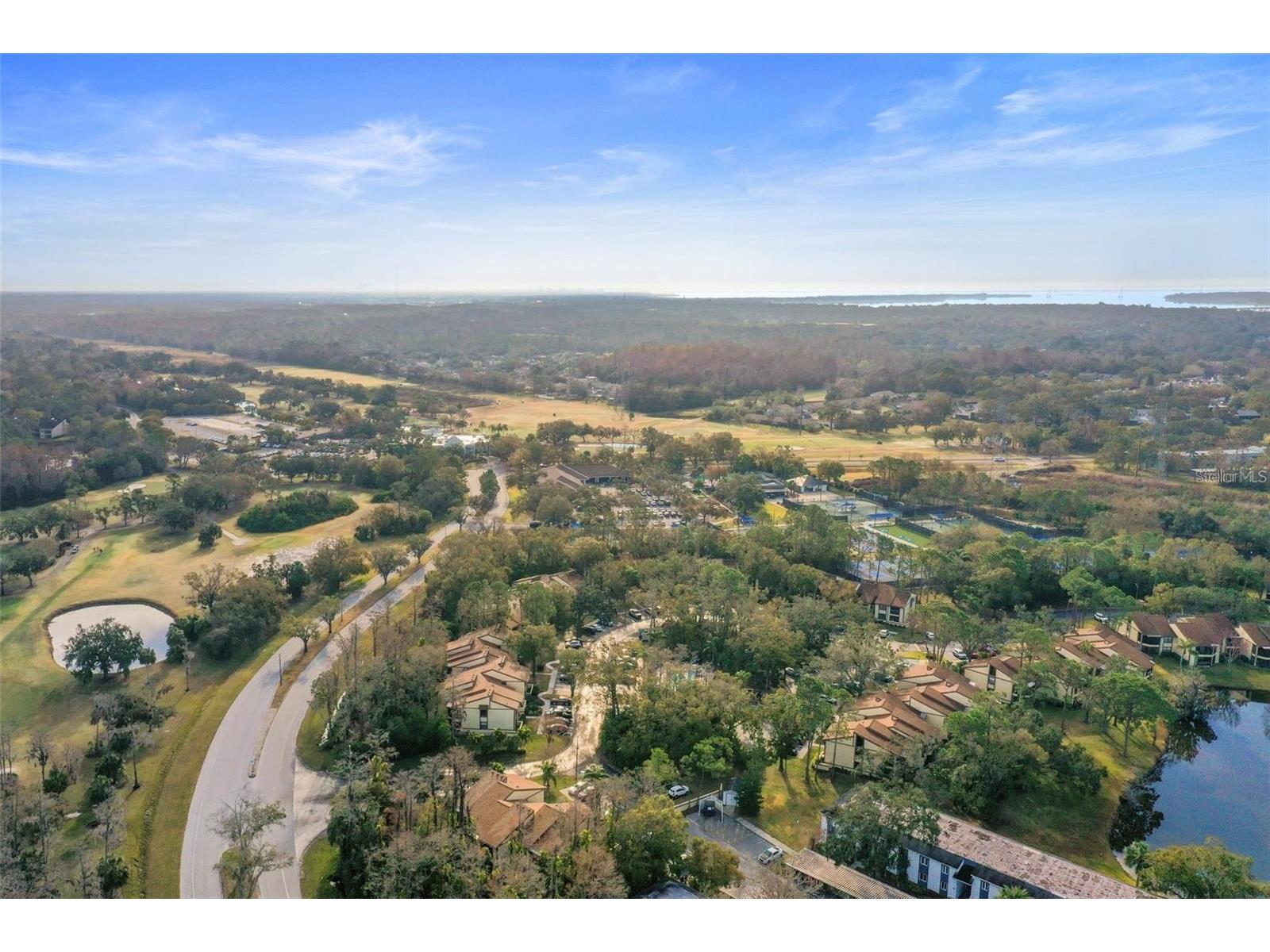 113 Woodlake Wynde #19 Oldsmar FL 34677 TB8463749 image63