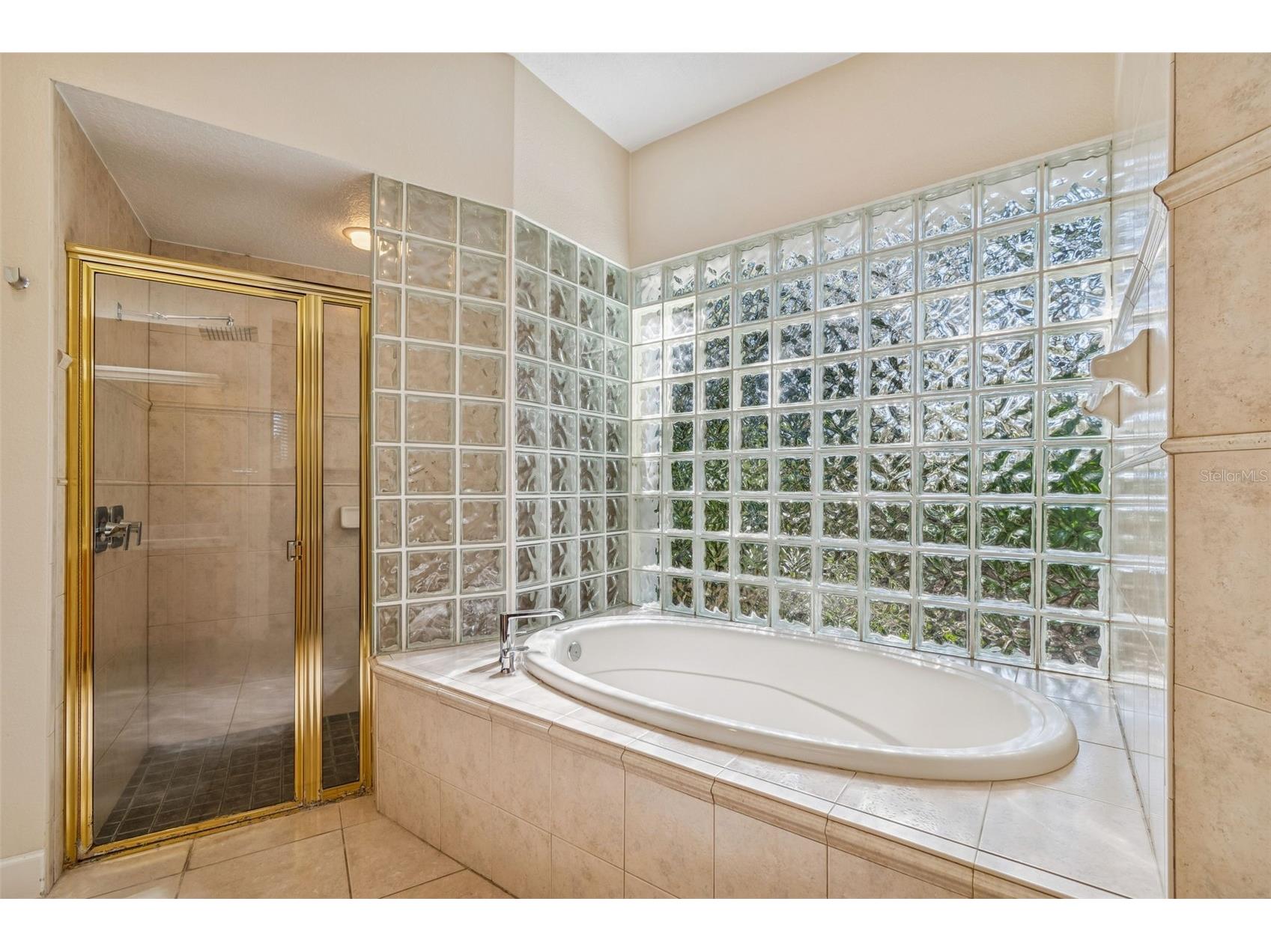 1130 Anclote Rd Tarpon Springs FL 34689 TB8474474 image40