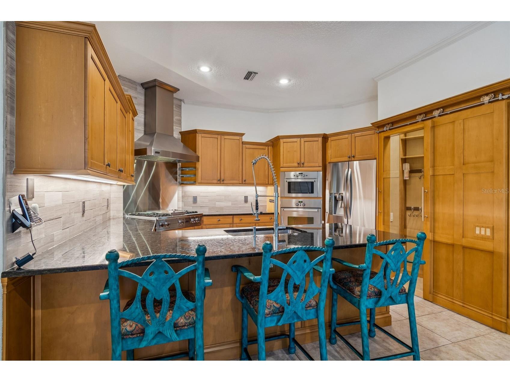 1130 Anclote Rd Tarpon Springs FL 34689 TB8474474 image50