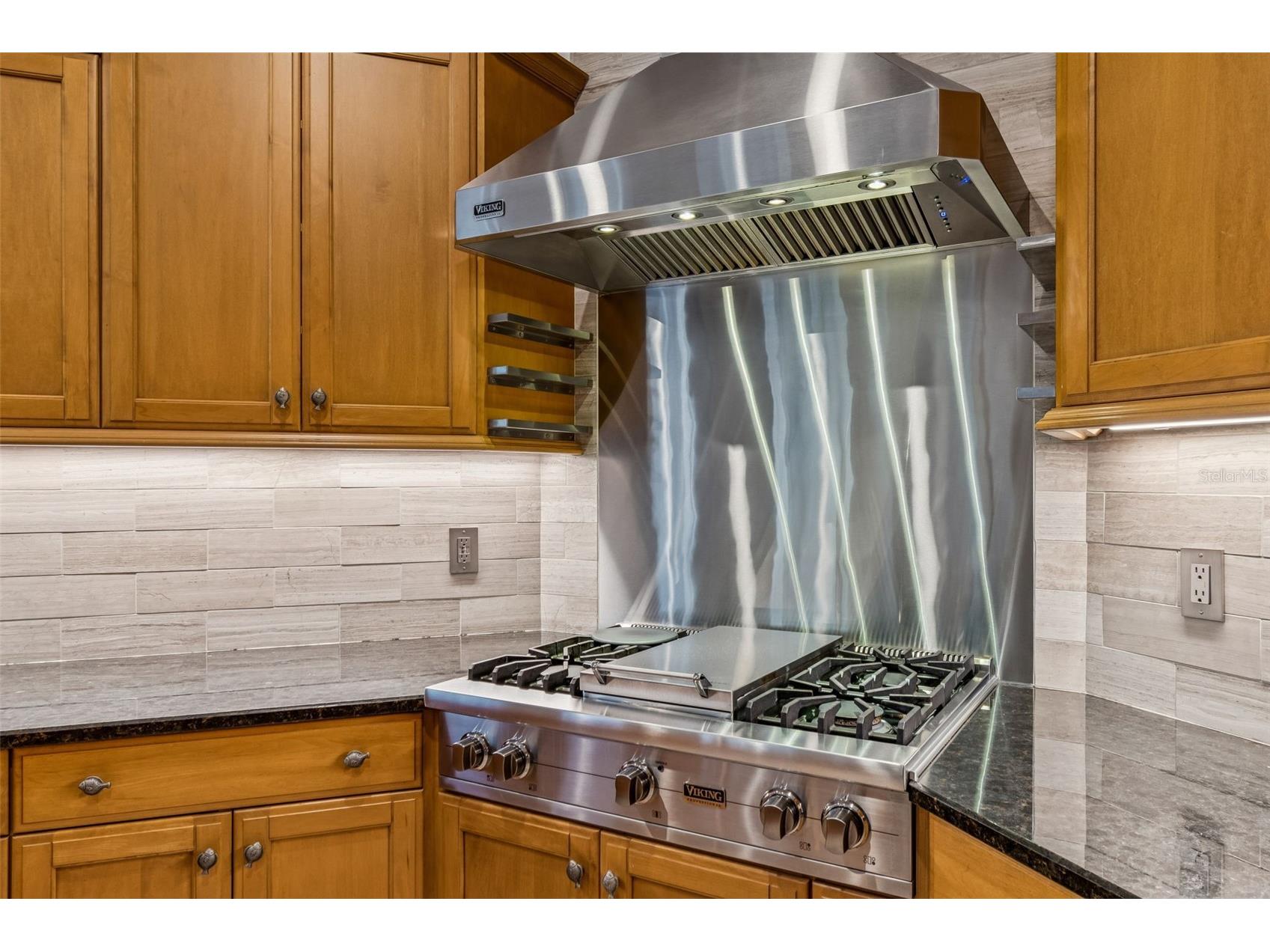 1130 Anclote Rd Tarpon Springs FL 34689 TB8474474 image53