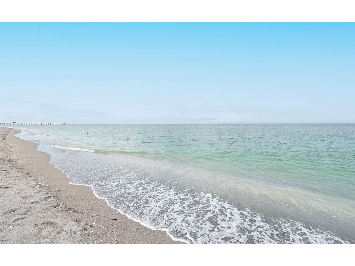 1130 Bird Bay Way #184 Venice FL 34285 N6138155 image43