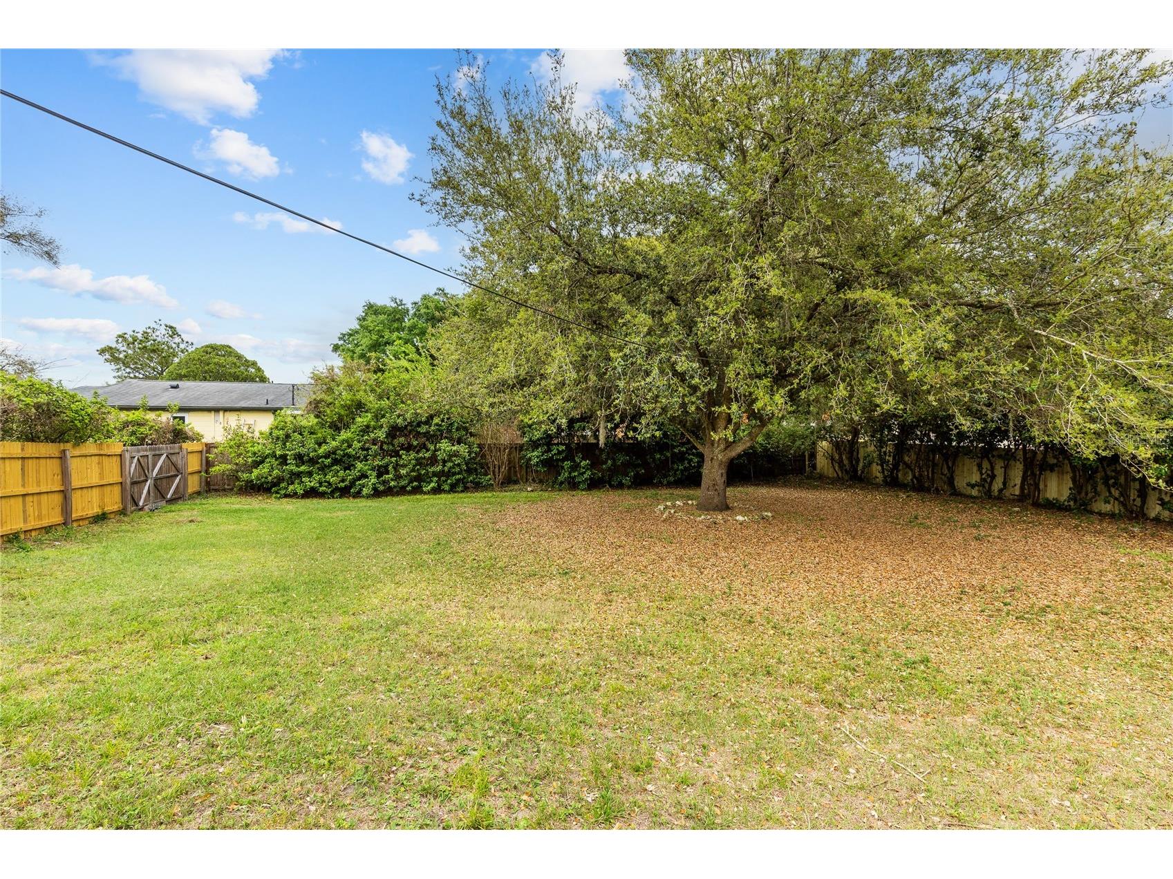 1130 Carlson Drive Orlando FL 32804 O6390270 image3
