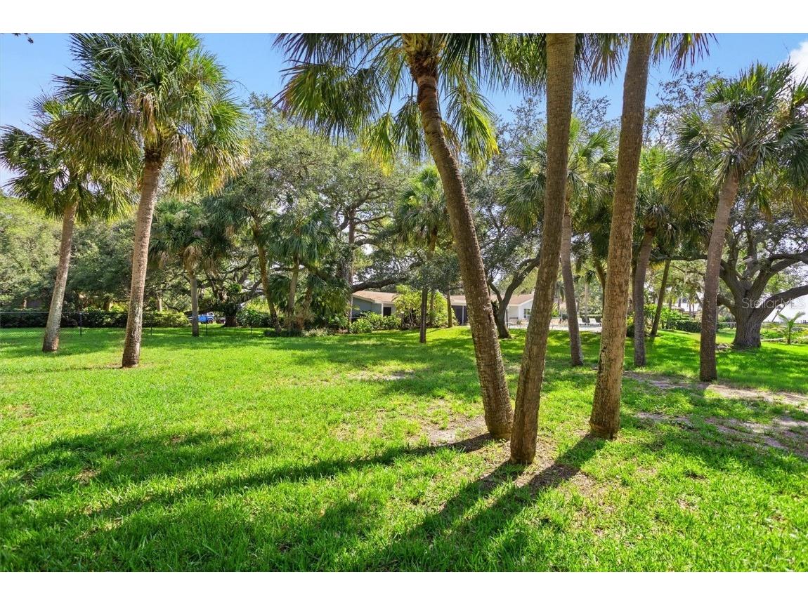 1130 Friendly Way S Saint Petersburg FL 33705 - TAMPA BAY U8215475 image13