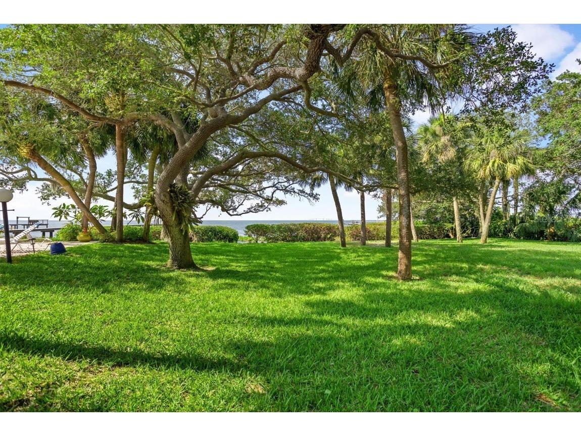 1130 Friendly Way S Saint Petersburg FL 33705 - TAMPA BAY U8215475 image14