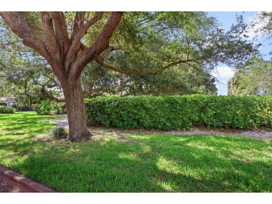 1130 Friendly Way S Saint Petersburg FL 33705 - TAMPA BAY U8215475 image6