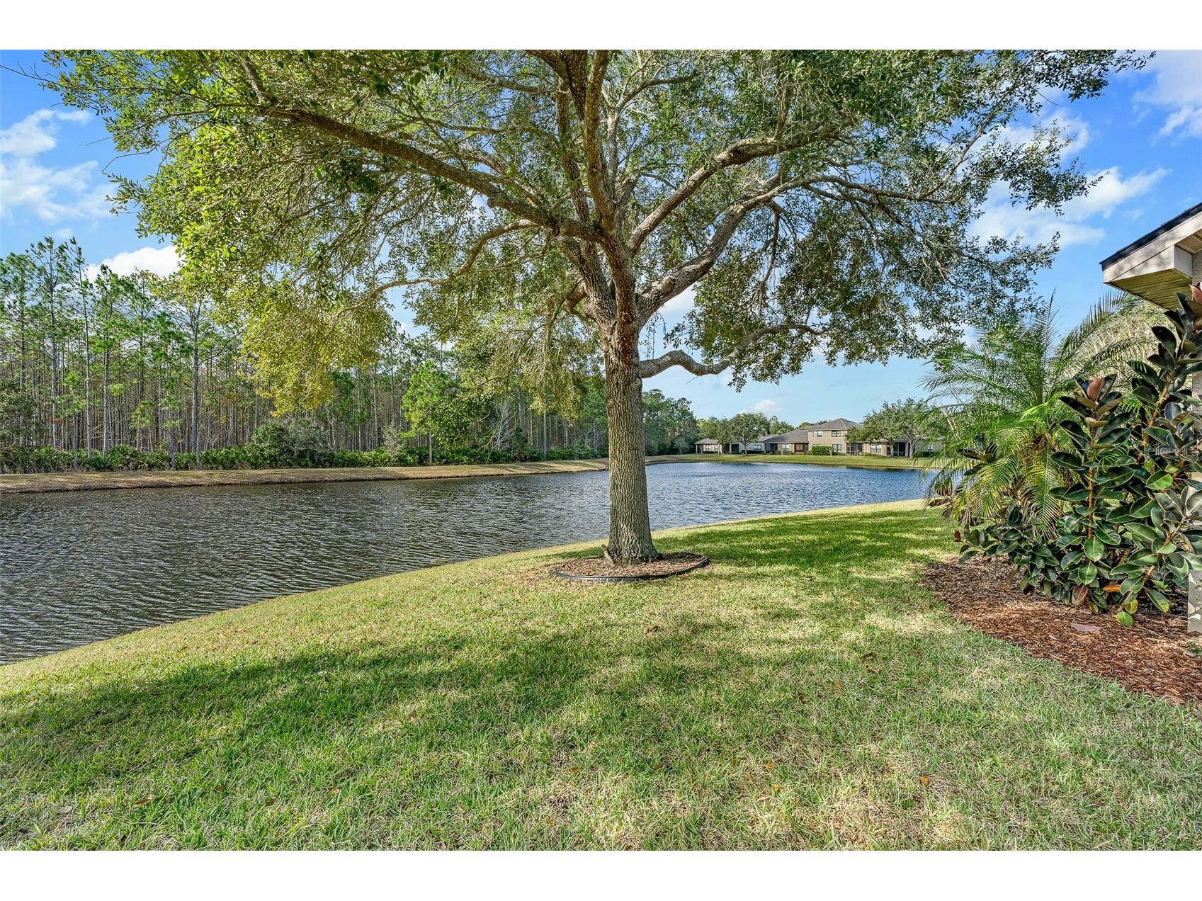 1130 Hansberry Court Ormond Beach FL 32174 FC314666 image48