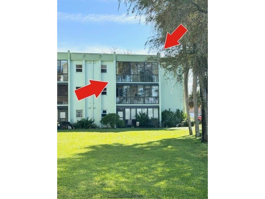 1130 N Lake Parker Ave #A301 Lakeland FL 33805 P4937029 image25