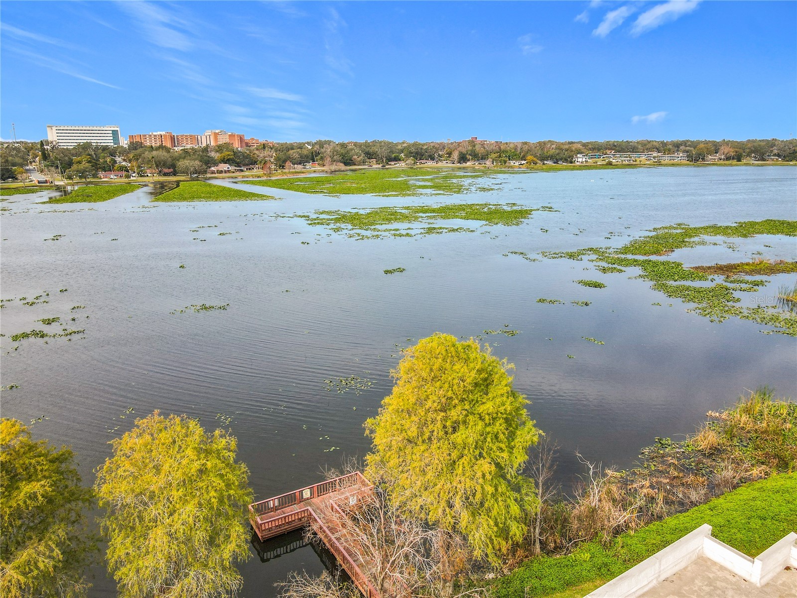 1130 N Lake Parker Avenue #A302 Lakeland FL 33805 L4962429 image49