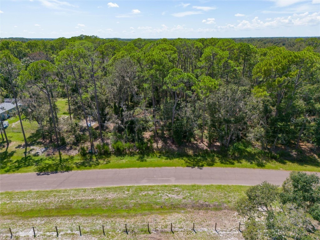 1130 Oxbow Road Wimauma FL 33598 - CURIOSITY CREEK T3471688 image1