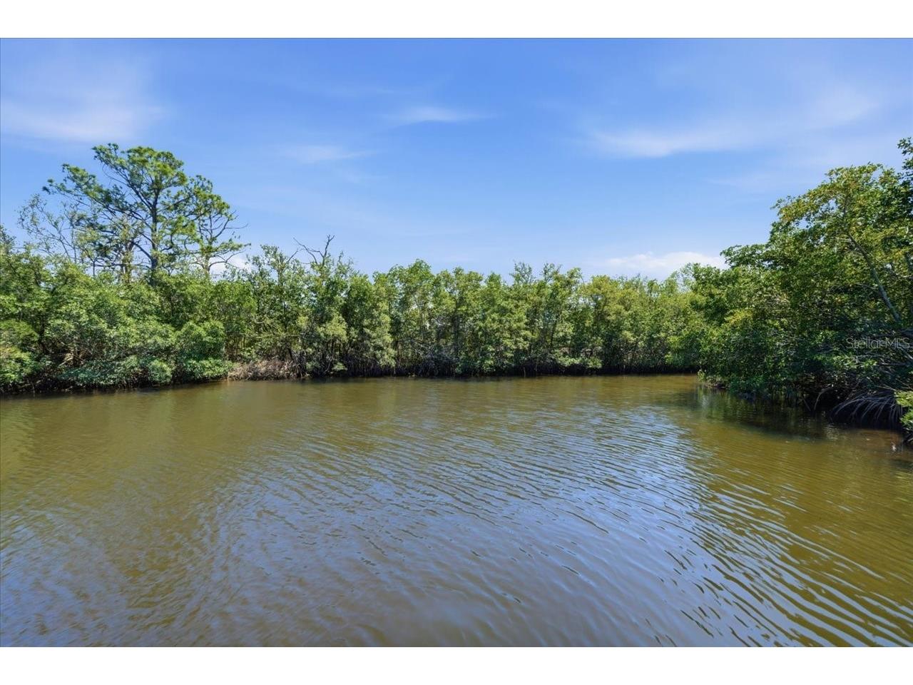 1130 S Florida Avenue Tarpon Springs FL 34689 - ST JOSEPH SOUND SHEADS CREEK TB8509664 image89